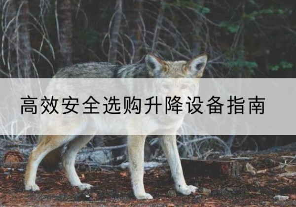 柞水升降货梯厂家推荐-*安全选购升降设备指南