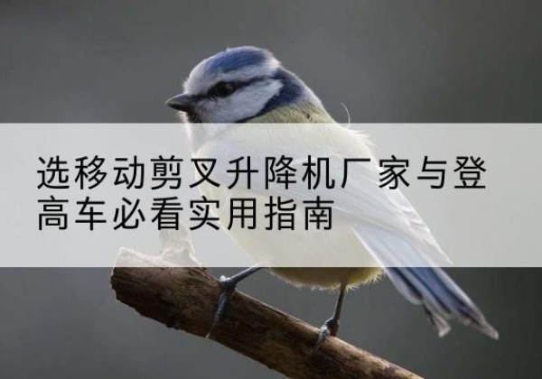 柞水电动升降机厂家-选移动剪叉升降机厂家与登高车必看实用指南