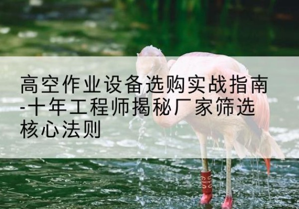 柞水剪叉式升降机厂家-高空作业设备选购实战指南-十年工程师揭秘厂家筛选核心法则