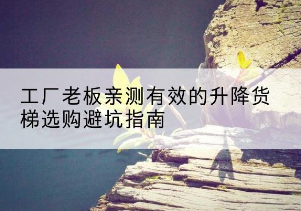 柞水升降货梯怎么选-工厂老板亲测有效的升降货梯选购避坑指南